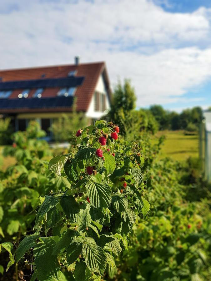 Apartmán Siedlisko Gregorowo Ustka Exteriér fotografie