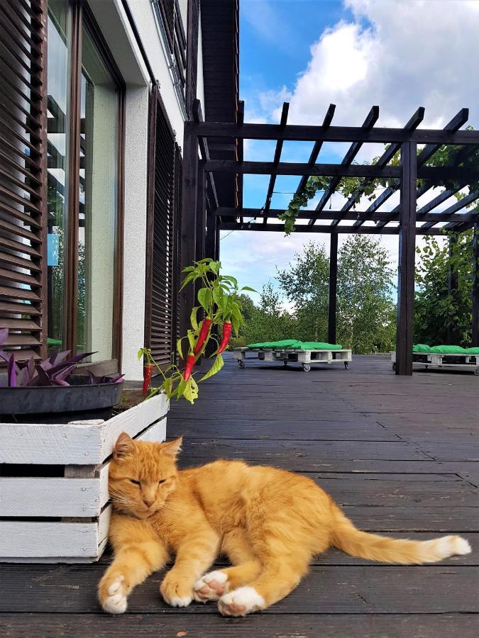 Apartmán Siedlisko Gregorowo Ustka Exteriér fotografie