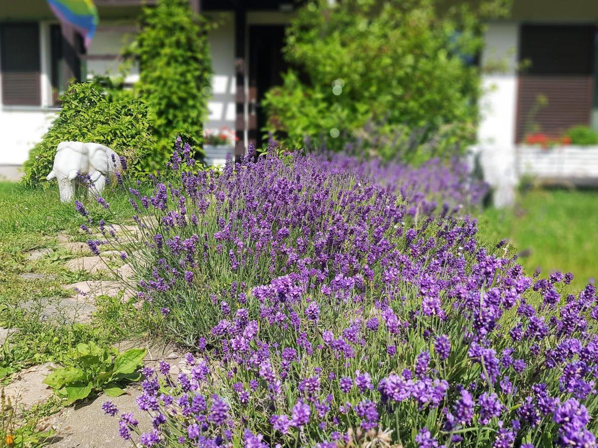 Apartmán Siedlisko Gregorowo Ustka Exteriér fotografie